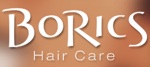 BoRics Logo